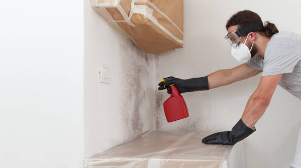 Professional Attic Mold Removal technician working in Lawrenceville, NJ
