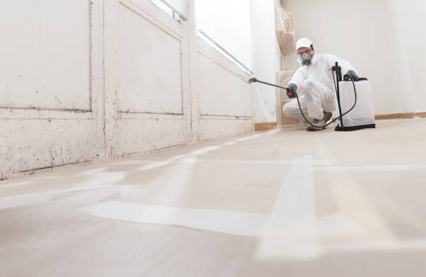24/7 Emergency Attic Mold Removal experts in Lawrenceville, NJ