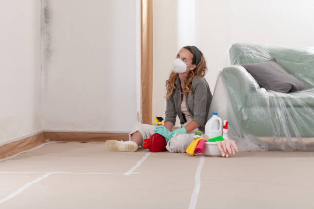 Reliable Mold Remediation contractor in Lawrenceville, NJ by Cheap Mold Removal